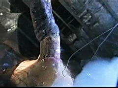 Tentacles Alert
