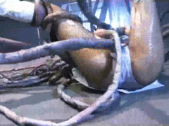 Tentacles Alert