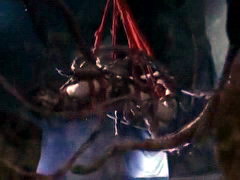 Tentacles Alert