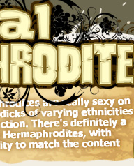 lady gaga hermaphrodite