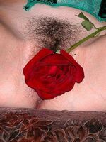 swinger videos