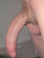free gay porn tube
