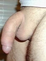 free gay porn tube