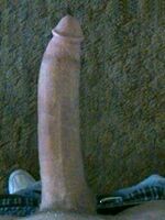 free gay porn sites