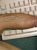 gay mobile porn