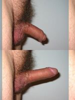 free gay porn sites