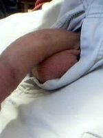 gay porn sites