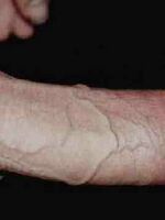 free gay porn tube