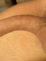 free gay porn tube