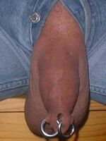 gay porn sites