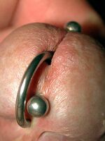 free gay porn tube