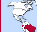 asian sex travel