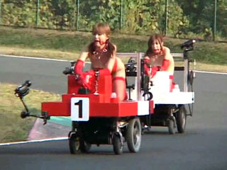 Japanese Schumacher