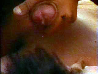 forum hairy porn vintage