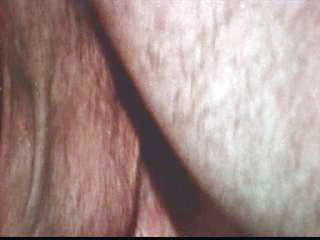 hippie vintage sex