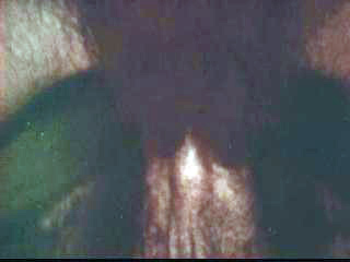 forum movie porn retro