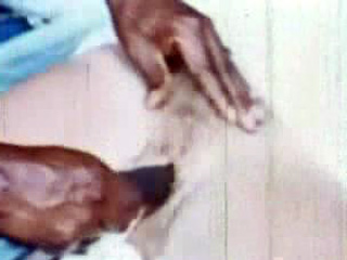 free vintage porn movie