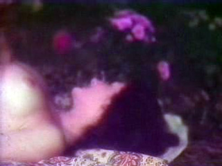 vintage interracial sex