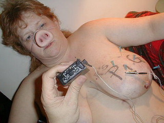 Fatty Farm