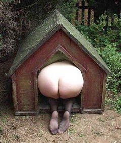 Fatty Farm