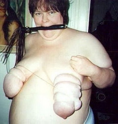 Fatty Farm