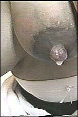 pregnant_girlfriends_2710.jpg
