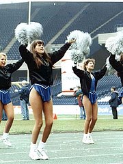 Sport Fetish Porn sample picture