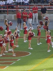 Sport Fetish Porn sample picture