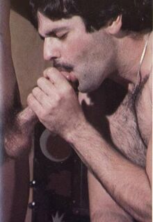 classic gay porn photo
