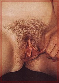 Retro Pussy