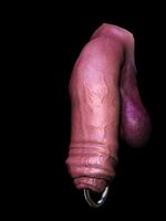 3d porn pics