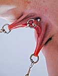 maledom