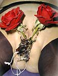 pussy piercing