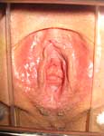 pussy punishment