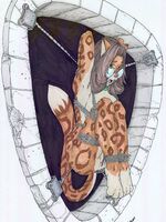 free furry gay