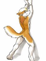 furry gay comics