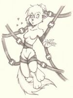 free furry gay