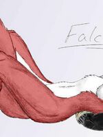 furry yiff hentai