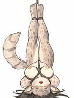free furry hentai videos