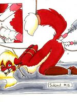 furry gay toons 